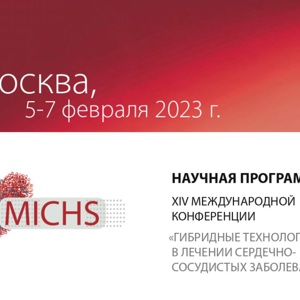 Участие в XIV Международной конференции MICHS в Москве