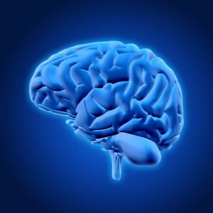 Синдром обструктивного апноэ сна и цереброваскулярные заболевания