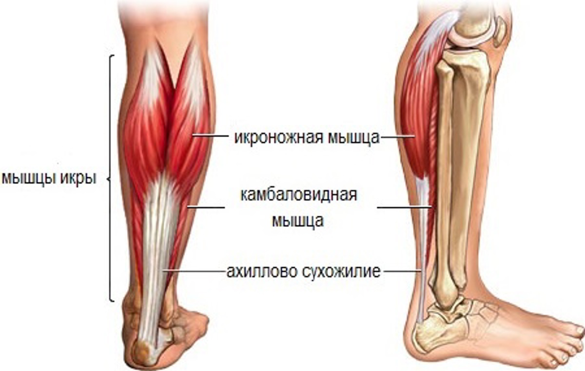 4 вида боли в ногах