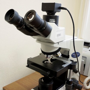 Микроскоп CX21FS1, OLYMPUS (Германия)