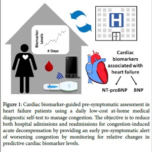 Будущие стратегии профилактики декомпенсации застойной сердечной недостаточности с использованием самотестирования пациентов на основе лабораторных биомаркеров