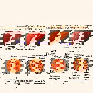 Неалкогольная жировая болезнь печени