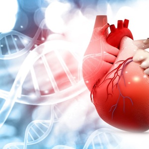 Сочетание трех генных мутаций приводит к смертельной наследственной патологии сердца у человека
